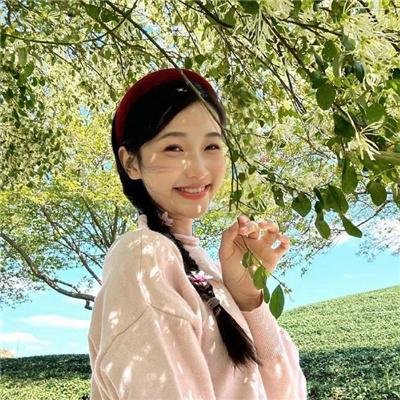 假如美国不存在